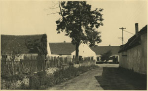 Starý sklep, 40. léta